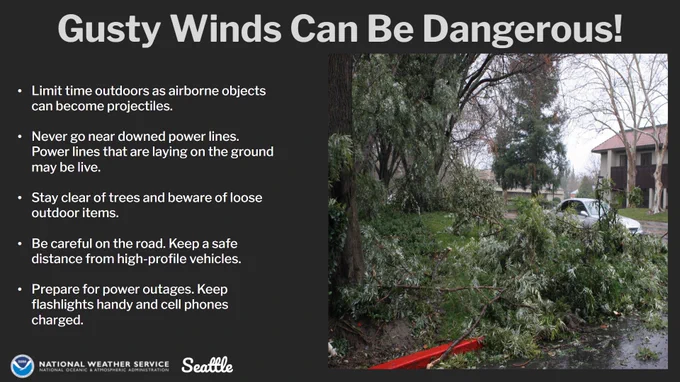 Gusty winds can be dangerous. Limit time outdoors as airborne objects can become projectiles. Never go near downed power lines. Power lines that are laying on the ground may be live. Stay clear of trees and beware of loose items. Be careful on the road. Keep a safe distance from high-profile vehicles. Prepare for power outages. Keep flashlights handy and cell phones charged.