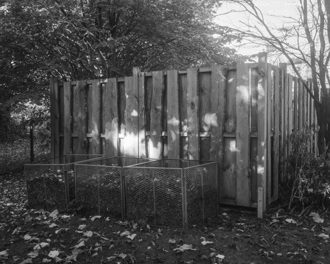 A black-and-white photograph showing three metal mesh bins filled with fallen autumn leaves in front of a wooden structure, capturing a practical aspect of seasonal yard maintenance.
—
Little boxes hold the fall, leaves gathered, neat and small. Human hands seek order’s call, in nature’s quiet sprawl.