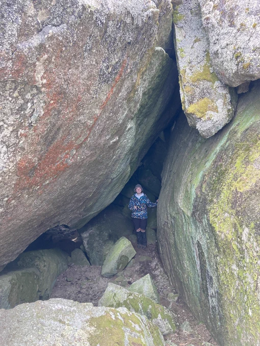 Person standing in entrance to cave containing hundreds of thousands of bogong moths