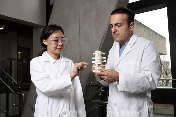 PhD student Wendy Lu holding a self-powered, metamaterial spinal implant and Amir Alavi holding a model of the spine
