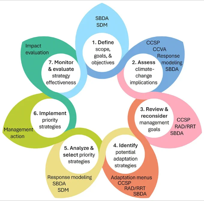 A generalized adaptation planning process depicting the stages at which various tools can be applied