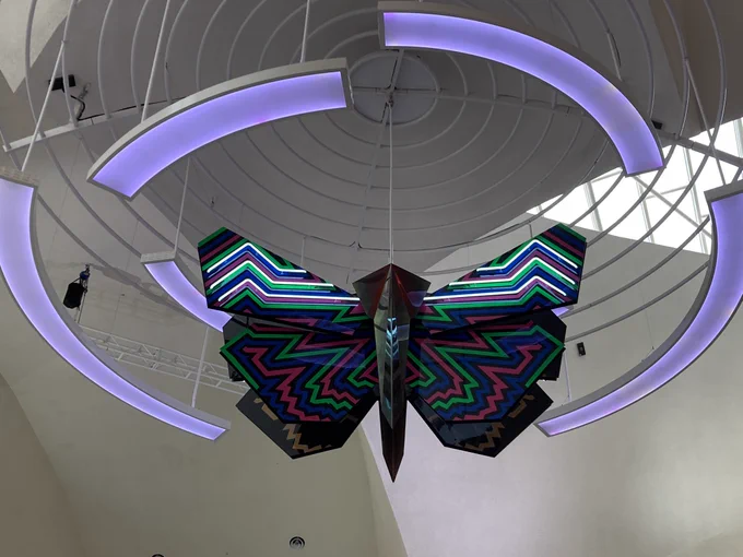 Bogong Moth by Reko Rennie