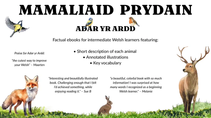 An illustration of a fox, hare and red deer, along with a great tit, blue tit and robin. Text says: “Mamaliaid Prydain. Adar yr Ardd.” which means “British Mammals. Garden Birds.” 

Factual ebooks for intermediate Welsh learners featuring:

• Short description of each animal 
• Annotated illustrations
• Key vocabulary

Praise for Adar yr Ardd:

“the cutest way to improve your Welsh” – Maarten

“a beautiful, colorful book with so much information! I was surprised at how many words I recognized as a beginning Welsh learner.” – Melanie

“Interesting and beautifully illustrated book. Challenging enough that I felt I'd achieved something, while enjoying reading it.” – Sue B