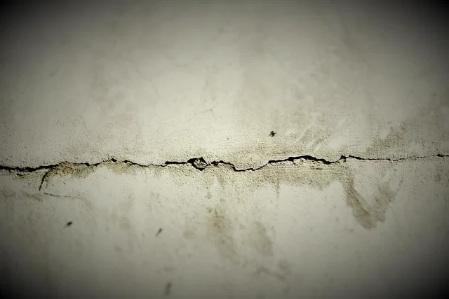 Self-healing concrete prevents cracks like this
