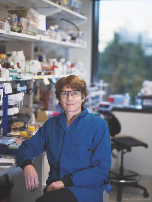 Carolyn Bertozzi sitting on a stool in a laboratory filled with equipment and supplies, smiling at the camera. 