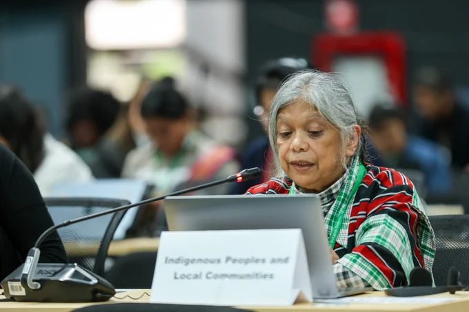 Joji Cariño, International Indigenous Forum on Biodiversity (IIFB)