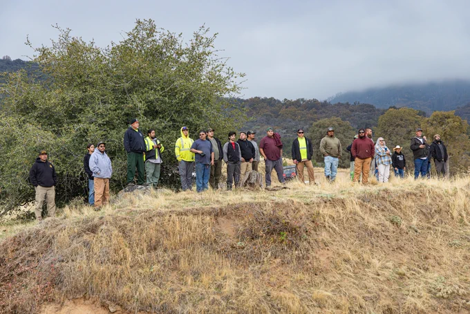 Governor Newsom announces the return of 17,030 acres of ancestral land to the Tule River Indian Tribe and the reintroduction of tule elk to the area.