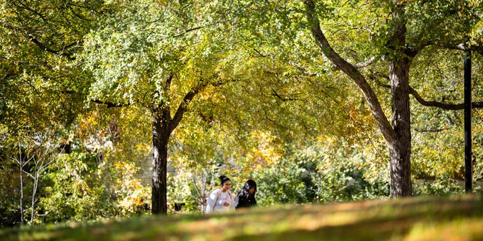 A photo of students walking on campus under trees.