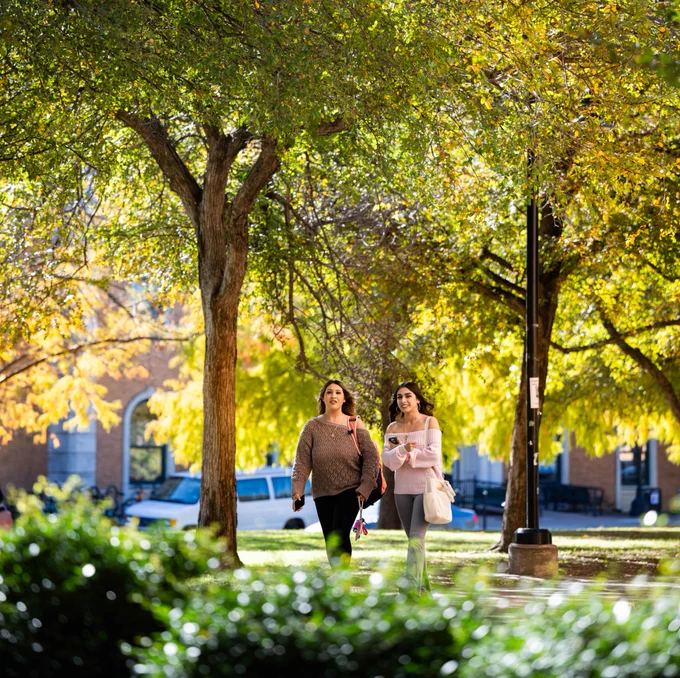 A photo of two students walking under trees on campus.