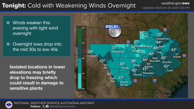 Weather graphic for tonight showing a cold forecast for the Austin/San Antonio, Texas area. The title reads 'Tonight: Cold with Weakening Winds Overnight.' The graphic notes: Winds weaken this evening with light wind overnight. Overnight lows drop into the mid 30s to low 40s. Isolated locations in lower elevations may briefly drop to freezing which could result in damage to sensitive plants. The map shows temperatures ranging from 37 to 46 degrees Fahrenheit across South-Central Texas cities like Austin (44°), San Antonio (41°), Fredericksburg (36°), New Braunfels (42°), and Uvalde (38°). A temperature scale on the left shows the 'Low Temperature (F)' range from below 30° (purple) to 50° (dark green/black).