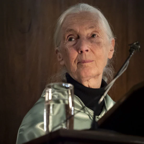 Jane Goodall / Ramón Carretero