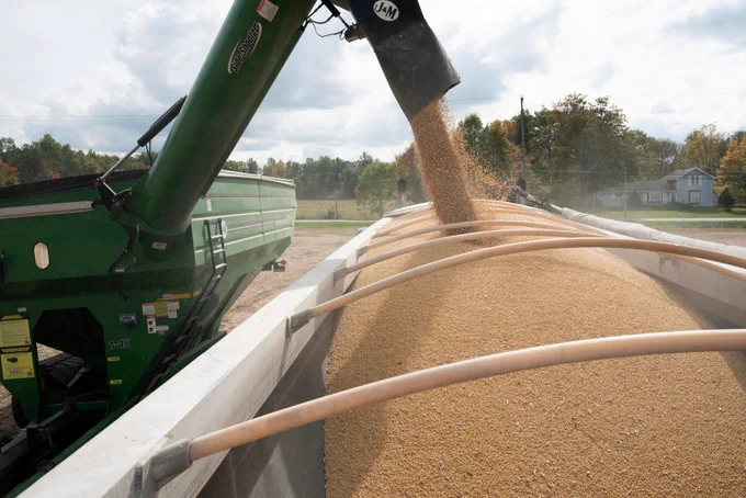 Reuters image of soybeans.