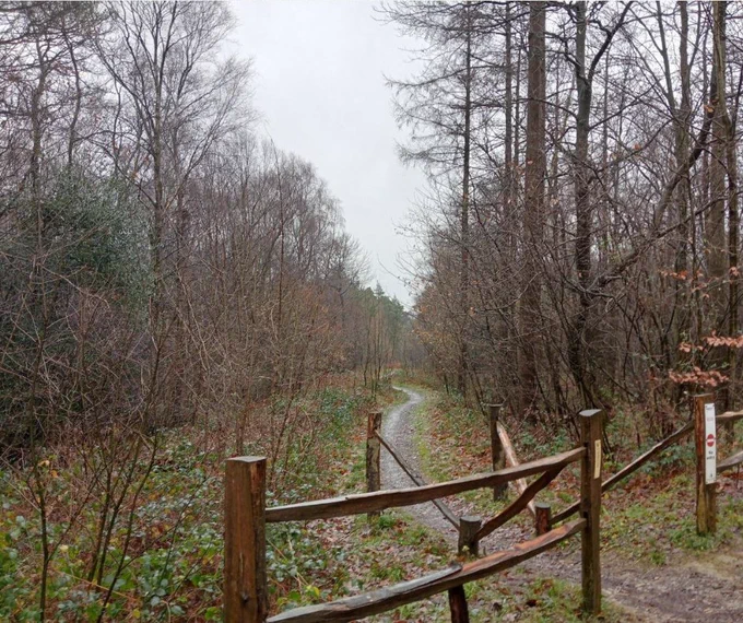 Shot of outdoor, woodsy landscape in autumn time. The trees are bare, the wooden path barrier wet, and there is a dirt pathway/track disappearing into the landscape.