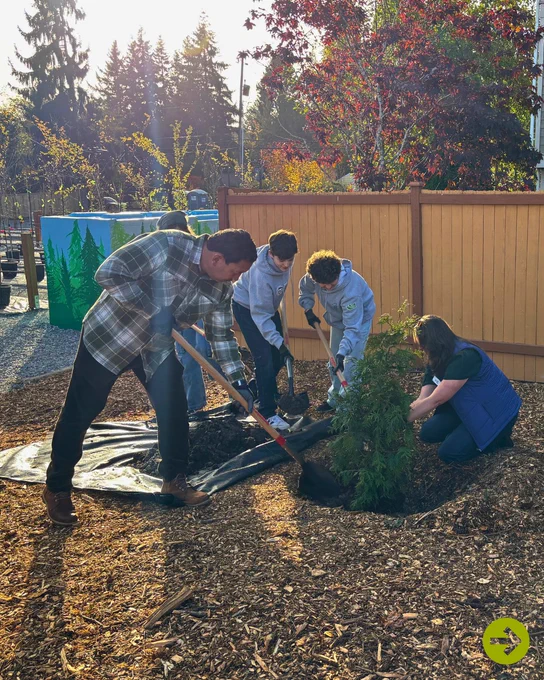 Mayor Harrell with community members planting a small evergreen tree in a mulched garden area on a sunny day with autumn foliage in the background.