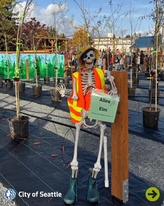 Skeleton figure dressed in a safety vest, boots, and helmet holding a sign labeled 'Allee Elm' among young trees in pots at a tree nursery event.
