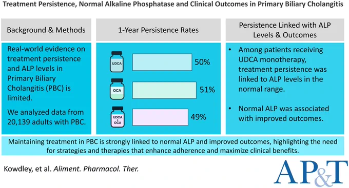 Among patients receiving UDCA monotherapy, treatment persistence was associated with ALP levels in the normal range. Normal ALP was associated with improved PBC clinical outcomes. The study highlights the importance of sustained treatment with UDCA and the need for treatments that can lead to ALP normalization among individuals with PBC.