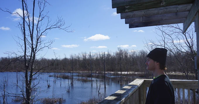 person standing on tower located on Tower Trail with wetlands in background 