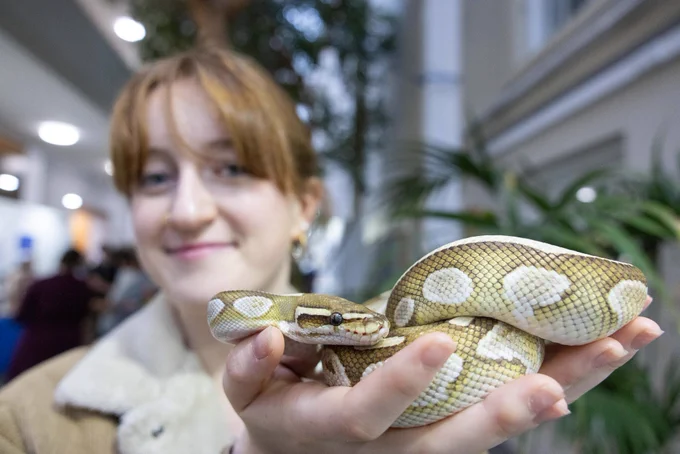 Person holding a python, smiling at the camera in an indoor setting at Trinity College.