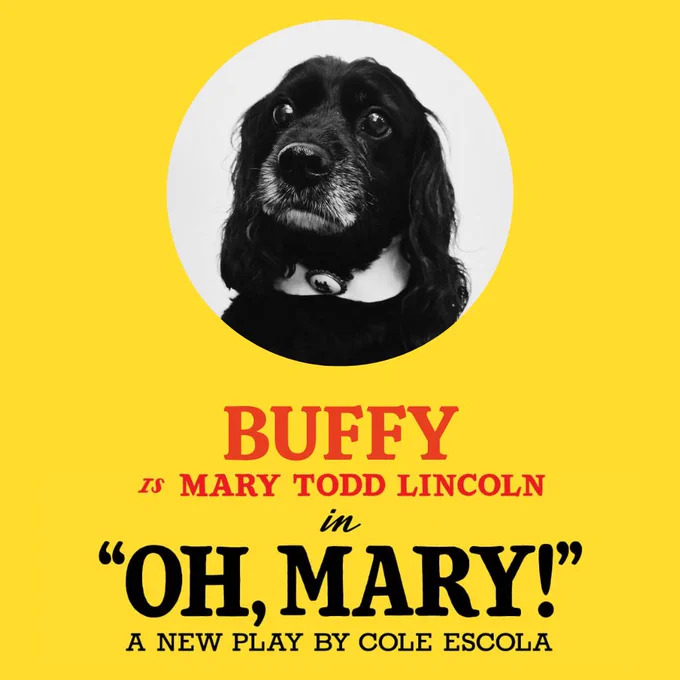 A black and white picture of Buffy, a black spaniel mix, wearing a white collar with a pin, in the middle of a yellow graphic that reads "Buffy is Mary Todd Lincoln in Oh, Mary! A new play by Cole Escola.