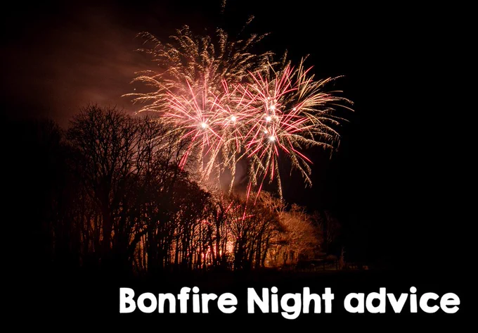 Fireworks behind trees, with text which says bonfire night advice