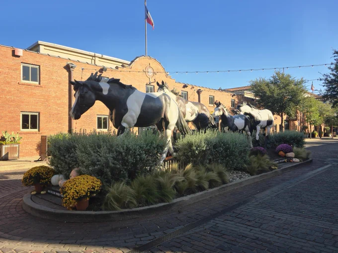 Street in Forth Worth