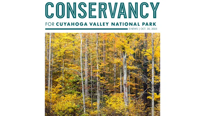 A Conservancy for Cuyahoga Valley National Park logo with the word e-news and the date October 30, 2025. Beneath is a photo of a fall tree line, showing a thick forest of trees that have mostly yellow leaves. 