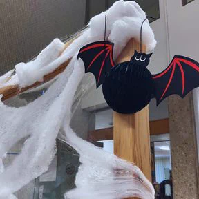 Picture of bat ornament