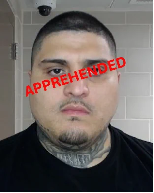 apprehended photo