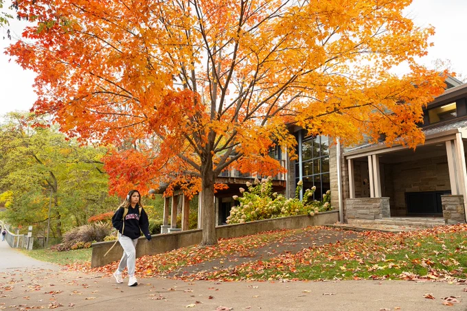 A Cornellian walking in front of a building on a campus with a vibrant orange-leafed maple tree overhead, suggesting a fall season setting.