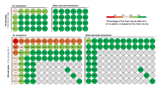  Percentage of evaporation at 24 h in air and water-saturated atmospheres. 96-well plate with final volume of 100 µL and 384-well plate with final volume of 30 µL were incubated for 24 h at 37°C without agitation. Results are expressed in percentage of final volume at 24 h compared to initial volume. The figure shows a schematic representation of the top left-hand corner of a microtiter plate.