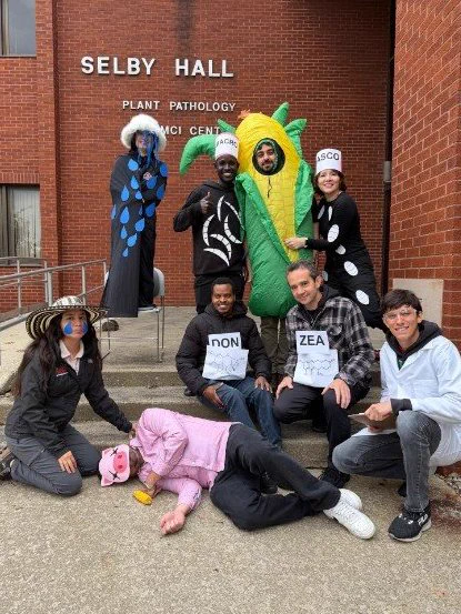 iykyk  #Mycotoxins #DON #corn  #sickpiggies #plantdoctors
