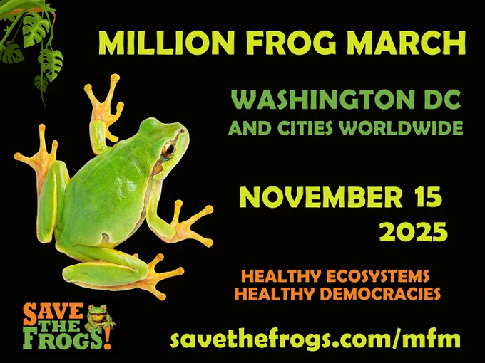 Million Frog March