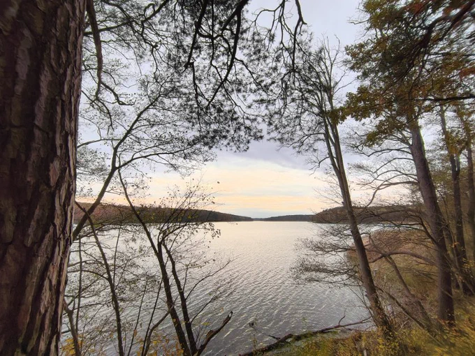Weiter Blick von einem Höhenweg durch teils bereits entlaubte Bäume am Hang auf einen See, rechts Schilfsaum. Die Wasseroberfläche ist leicht windgekräuselt. In der Ferne am gegenüberliegenden Ufer diffus Wald in rotbraun gefärbtem Herbstlaub. Helle Wolkenschlieren strukturieren den blauen Himmel. Links vorn dicht am Standort der Fotografin rahmt die gefurchte Borke eines Nadelbaums das Bild. 