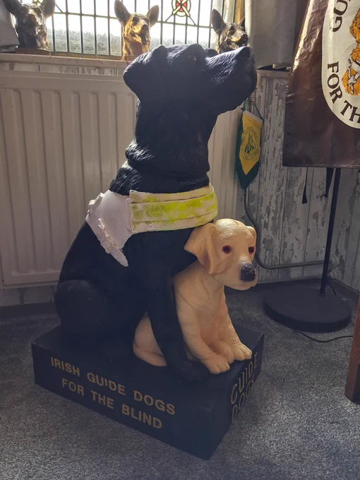 Kunststof collectebus. Zwarte Labrador in geleidetuig  op ware grootte met een blonde pup tussen de voorpoten. Staat op een plateau met de woorden Guide Dogs en Irish  Guide Dogs 
