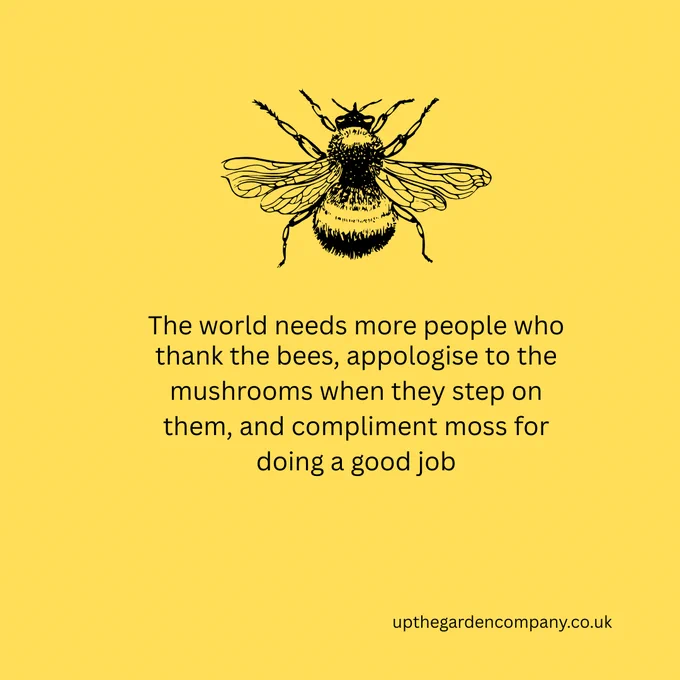 Image of bee.
The World needs more people who thank the bees, apologise to the mushrooms when they step on them, and compliment moss for doing a good job.
upthegardencompany.co.uk