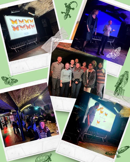 Polaroid-style collage of photos from the event, with decorative animal illustrations and a green background