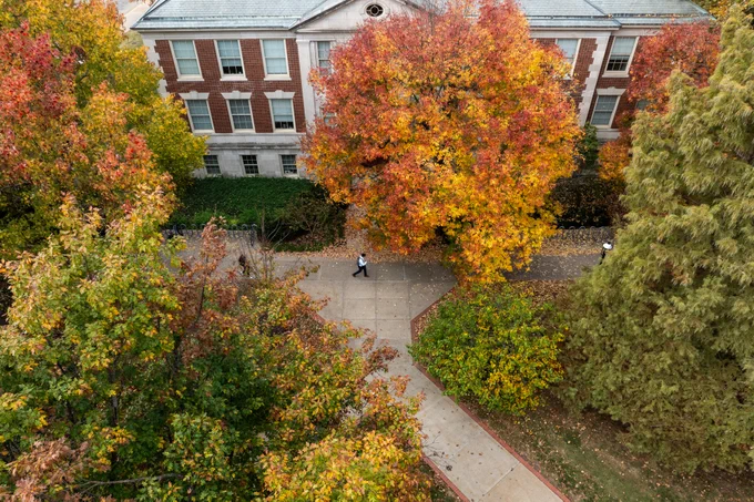 A drone photo of a student walking under a tree with colored leaves.