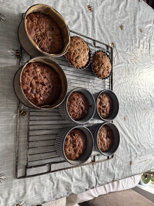 8 Christmas fruit cakes baked and cooling on a rack.