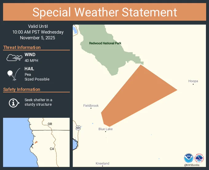 This graphic displays a special weather statement plotted on a map. The statement is in effect until 10:00 AM PST.  The statement includes Humboldt County, CA.  A STRONG THUNDERSTORM WILL IMPACT CENTRAL HUMBOLDT COUNTY UNTIL 10 AM PST. The threats associated with this storm are wind gusts up to 40 MPH and pea sized hail. Seek shelter in a sturdy structure until the storm passes.