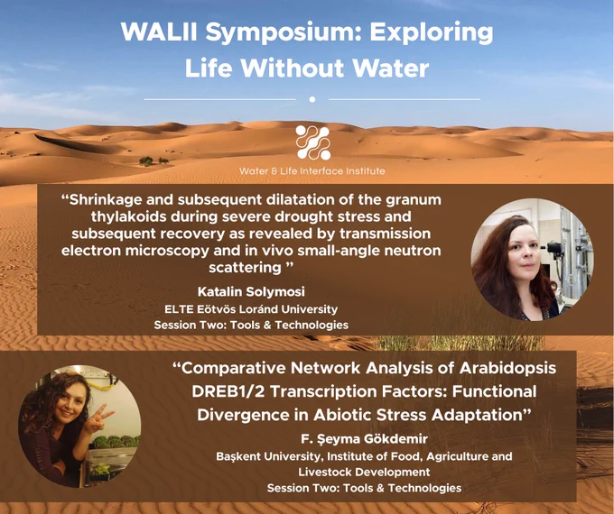 Promotional graphic for the WALII Symposium that features two speakers' headshots and their talk titles with a desert theme.