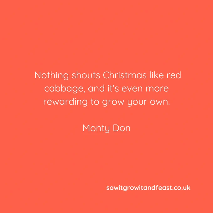 Nothing shouts Christmas like red cabbage, and it's even more rewarding to grow your own.
Monty Don.
sowitgrowitandfeast.co.uk