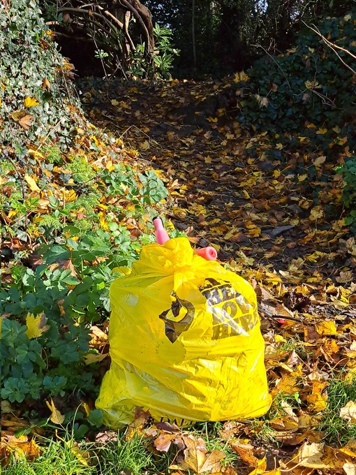 1 bag full of litter collected from the woodland 