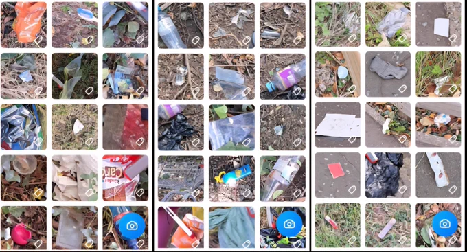 Items of litter collected en route