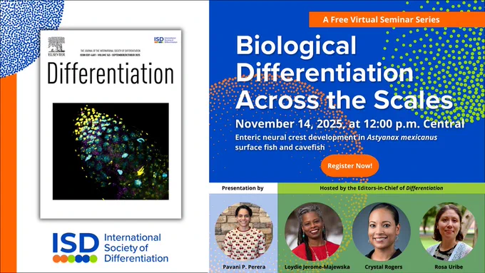 Biological Differentiation Across the Scales • November 14, 2025, at 12:00 p.m. Central • Register Now