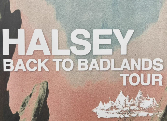 photo of the V I P check in sign with the updated badlands logo. it reads “halsey back to badlands tour”