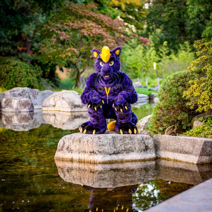 Finn, a purple and yellow fursuiter, perches on a rock on a lake in the Planten un Blomen park in Hamburg, Germany