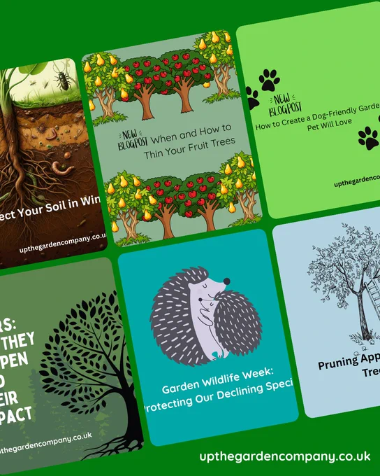 Blogs.
upthegardencompany.co.uk
summary of some of our blogs:  How to protect your soil in winter, when and how to thin your fruit trees, how to create a dog friendly garden, mast year, garden wildlife week, pruning apple and pear trees.