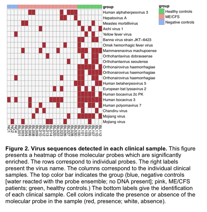 Figure 2. Virus sequences detected in each clinical sample. This figure 
presents a heatmap of those molecular probes which are significantly 
enriched. The rows correspond to individual probes. The right labels 
present the virus name. The columns correspond to the individual clinical 
samples. The top color bar indicates the group (blue, negative controls 
[water reacted with the probe ensemble; no DNA present]; pink, ME/CFS 
patients; green, healthy controls.) The bottom labels give the identification 
of each clinical sample. Cell colors indicate the presence or absence of the 
molecular probe in the sample (red, presence; white, absence). 
