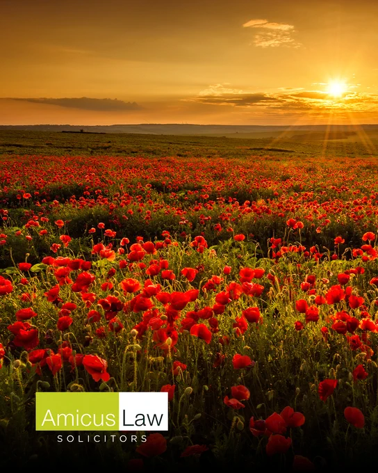 Amicus Law
