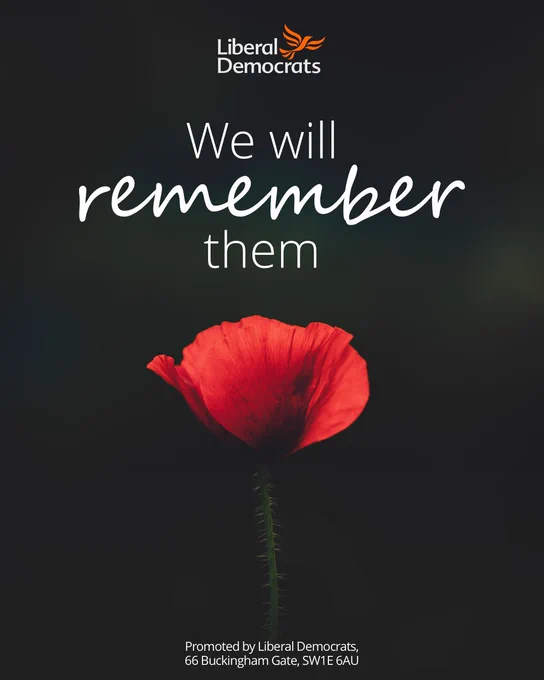 A bright red poppy in the centre of a dark background. White text above the flower reads: "We will remember them."